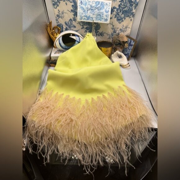 🆕 ALEXIS 🧿 NWOT Bristal Feather Trimmed Mini Dress, Yellow, Sz XS - Picture 13 of 16